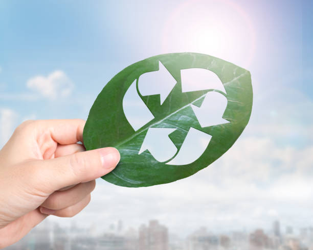 Hand holding leaf with hole of recycling symbol, resource recovery stock photo