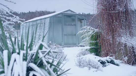 Snow covered garden. Peaceful winter landscape