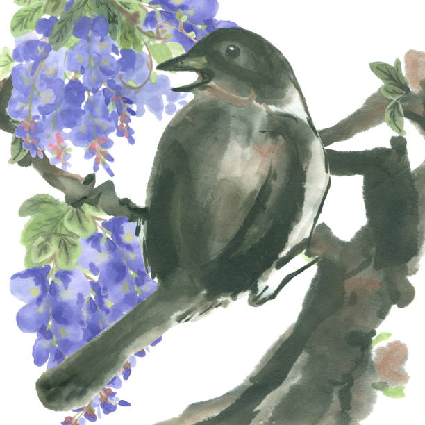 istock ink bird sitting on tree branches with purple wisteria flowers 1130712203