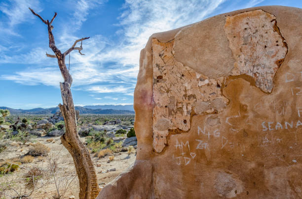 istock Ryan Ranch House in Joshua Tree National Park. 1130716001