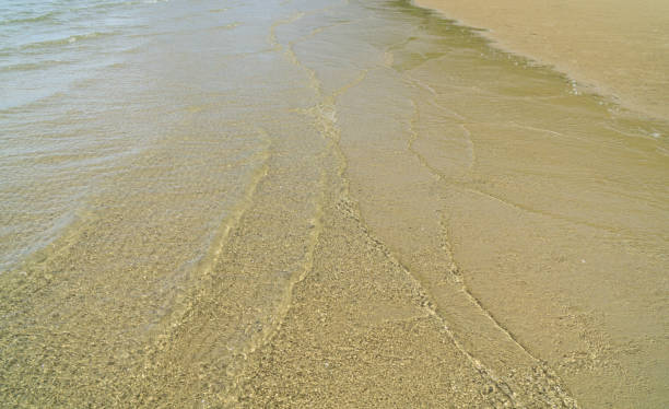 istock Beautiful sea beach, sand and clear water 1130717195
