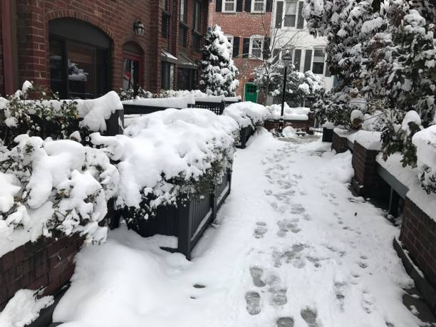 istock Snow day in Washington D.C. 1130717226