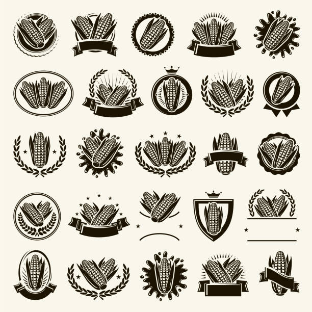 Corn label and element set. Collection icon corn. Vector Collection corn labels and elements set, edit size and color, vector insignia healthy eating gold nature stock illustrations