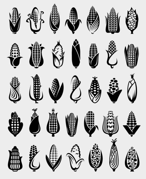 Corn set. Collection icon corn. Vector Collection corn set, edit size and color, vector farm clipart stock illustrations