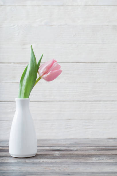 istock spring flowers in white vase 1130727719