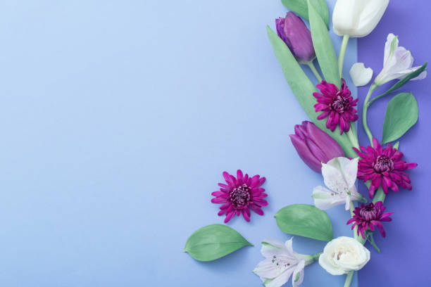 istock beautiful spring flowers on paper background 1130727736