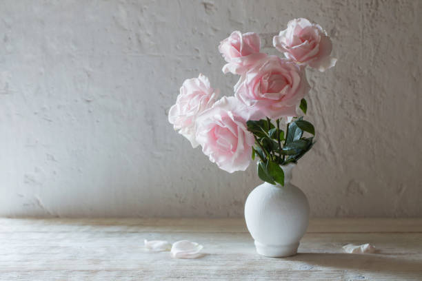 istock pink roses in vase on white background 1130727742