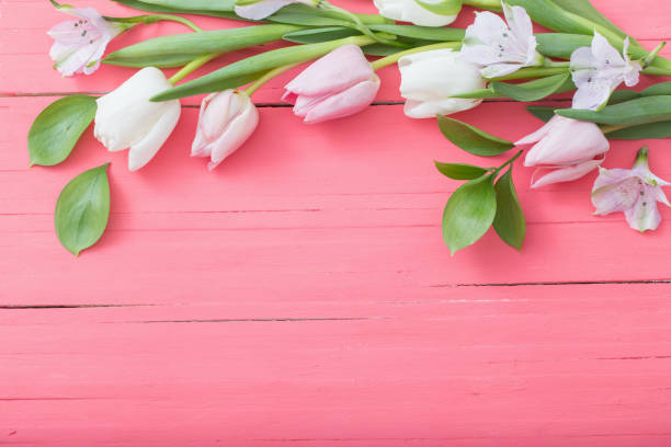 istock tulips flowers on pink wooden background 1130727746