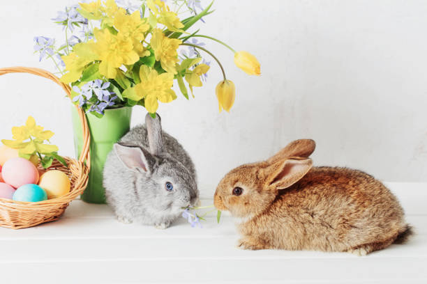 istock bunny with easter eggs and flowers on white background 1130727781