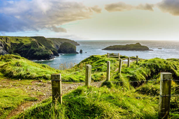 klippen in cornwell, united kingdom - lizard point imagens e fotografias de stock