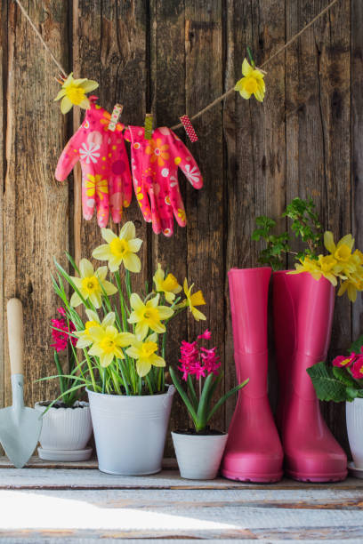 istock rubber boots and spring flowers on wooden background 1130729836