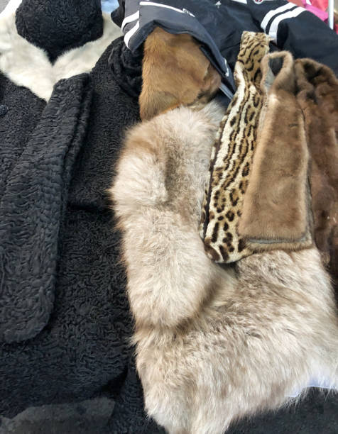 vintage fur coats - fleece coat imagens e fotografias de stock