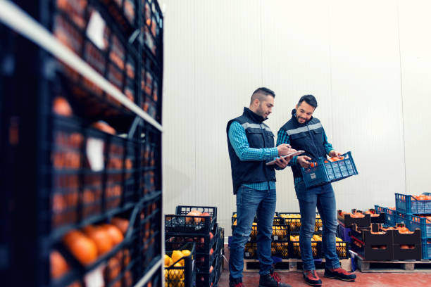 istock Fresh fruits and vegetables in warehouse 1130732831