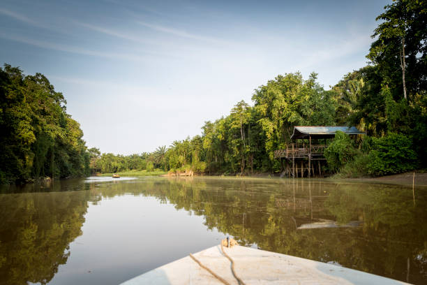 River kinabatagan General view navigating the Kinabatagan river on the island of Borneo, Malaysia kinabatangan river stock pictures, royalty-free photos & images