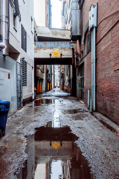 istock Downtown alley - Denver, Colorado 1130735538