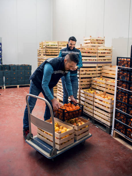 istock Fresh fruits in warehouse 1130738204