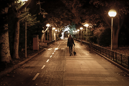 chica guapa joven caminando el perro en la noche en invierno photo