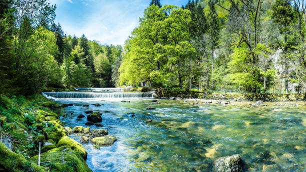 areuse, rivier in neuchâtel jura, zwitserland, panorama - lente natuur stockfoto's en -beelden