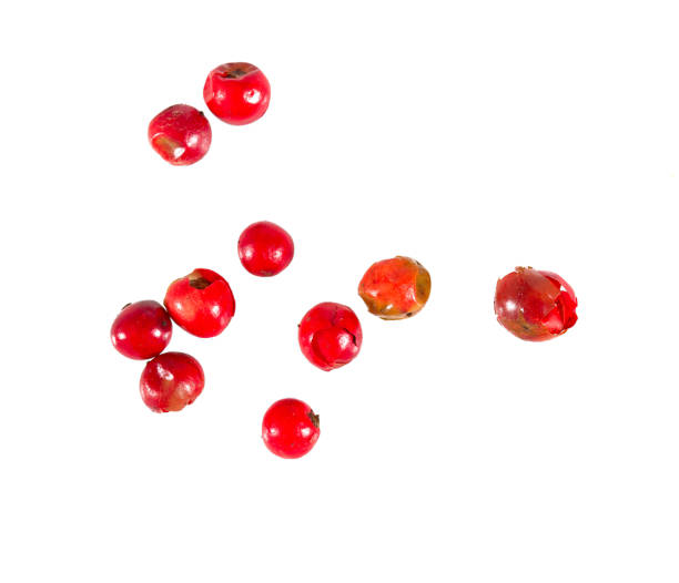 grani di pepe rosso isolati su sfondo bianco - pepper pink red white foto e immagini stock