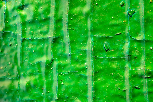 texture di vernice verde peeling multistrato - multi layered paint foto e immagini stock