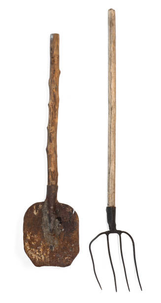 istock shovel and  pitchfork on white isolated background 1130748921