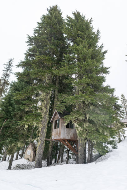 istock A winter cabin retreat 1130750342