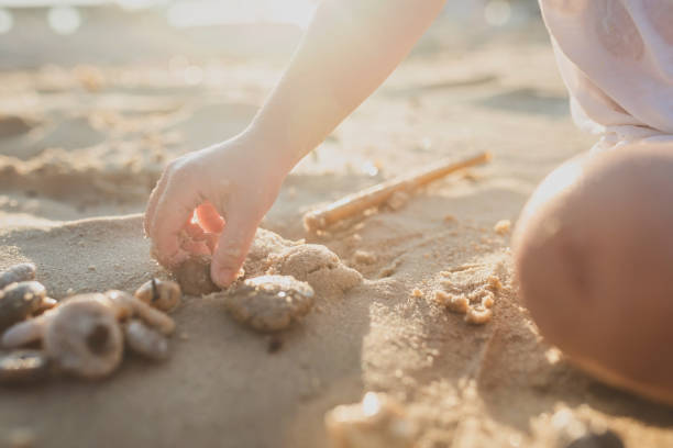 bambino che gioca nella sabbia bagnata - seashell shell sand copy space foto e immagini stock