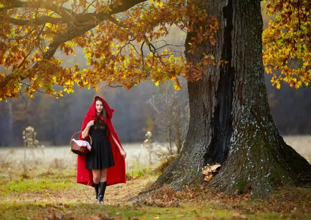 Red riding hood in the forest by an oak tree