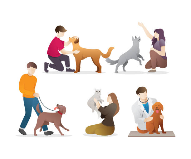 ludzie ze swoimi zwierzętami - veterinary medicine illustrations stock illustrations