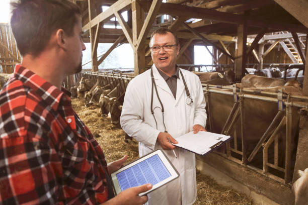 istock Veterinarian helping farmer with his livestock 1130752292