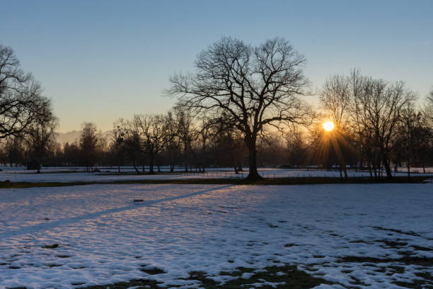 istock Sunset in the Lauteracher Ried 1130753194