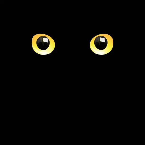 Vector illustration of Cat eyes in darkness