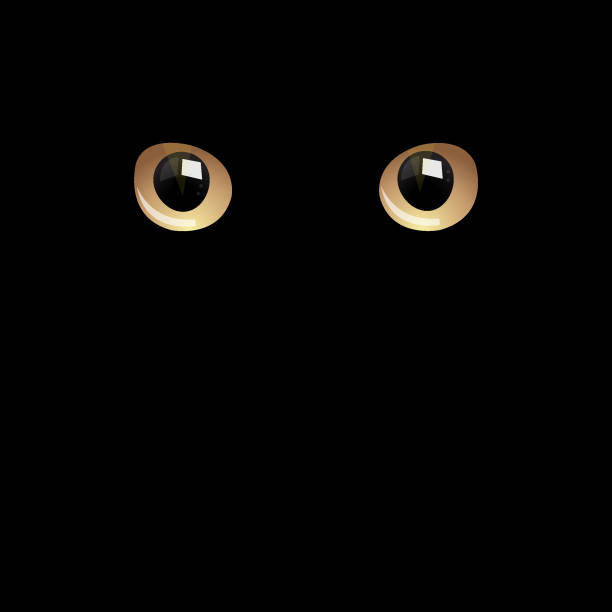 어둠 속의 고양이 눈 - anger feline animal black stock illustrations