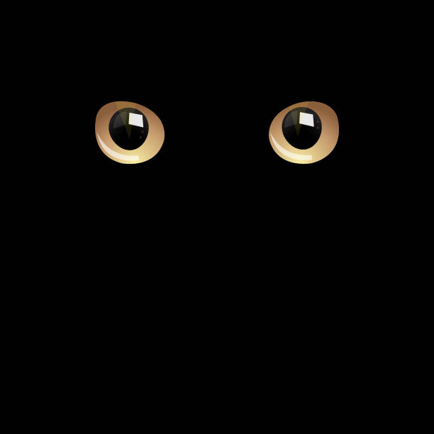 ilustrações de stock, clip art, desenhos animados e ícones de cat eyes in darkness - anger feline animal black