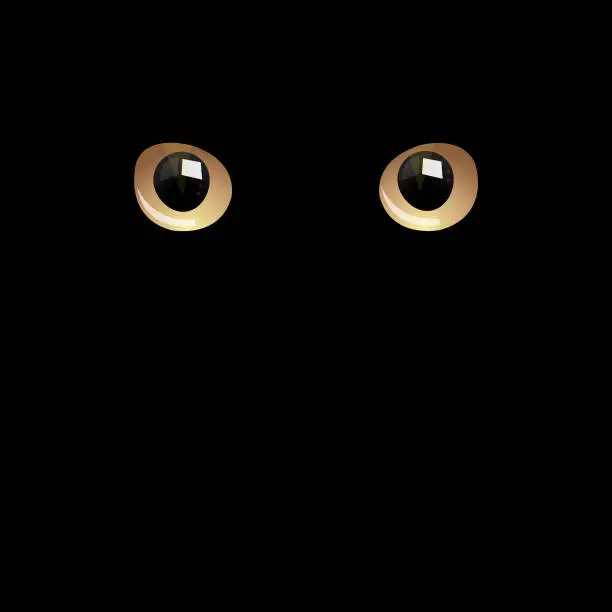 Vector illustration of Cat eyes in darkness