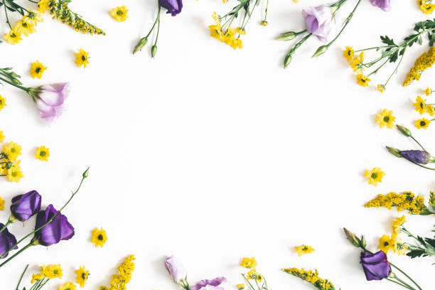 istock Flowers composition. Yellow and purple flowers on white background. Spring, easter concept. Flat lay, top view, copy space 1130755990