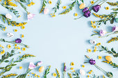 Easter eggs, purple and yellow flowers on pastel blue background. Spring, easter concept. Flat lay, top view, copy space
