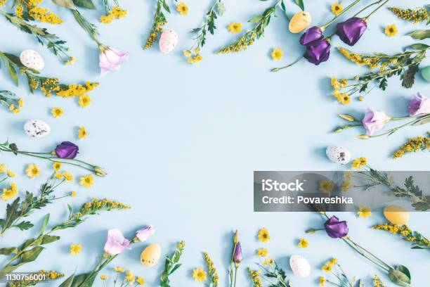 Easter Eggs Purple And Yellow Flowers On Pastel Blue Background Spring Easter Concept Flat Lay Top View Copy Space Stock Photo - Download Image Now