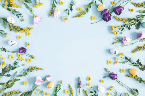 Photo of Easter eggs, purple and yellow flowers on pastel blue background. Spring, easter concept. Flat lay, top view, copy space