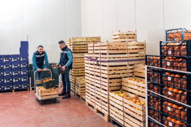 Fresh fruits and vegetables in warehouse