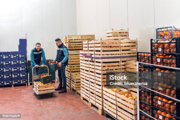 Fresh Fruits And Vegetables In Warehouse Stock Photo - Download Image Now - Fruit, Warehouse, Box - Container