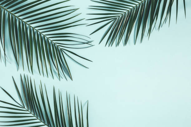 istock Summer composition. Tropical palm leaves on pastel blue background. Summer concept. Flat lay, top view, copy space 1130756233