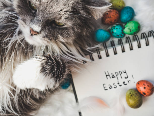 istock Charming kitten, notebook with a congratulatory inscription 1130757184
