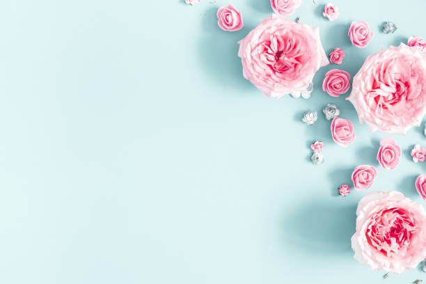 Composición De Flores Marco Hecho De Flores De Color Rosa En Fondo Azul Pastel Día De San Valentín Día De Las Madres Día De Las Mujeres Concepto De Primavera Lay Plano Vista Composición De Flores Marco Hecho De Flores De Color Rosa En Fondo Azul Pastel Día De San Valentín Día De Las Madres Día De Las Mujeres Concepto De Primavera Lay Plano Vista