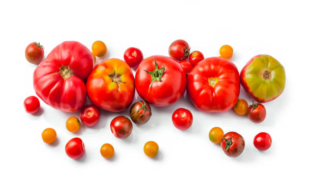 istock Tomatoes assorted close up overhead arrangement isolated on white background 1130757404