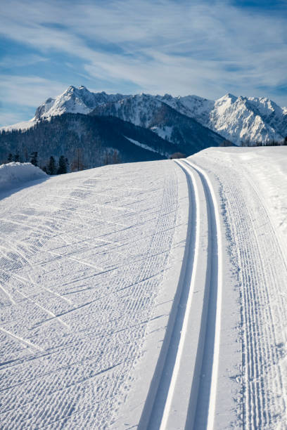 istock cross country ski track and the Kaiser 1130757409