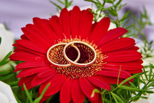 istock wedding bouquet orange roses 1130758790