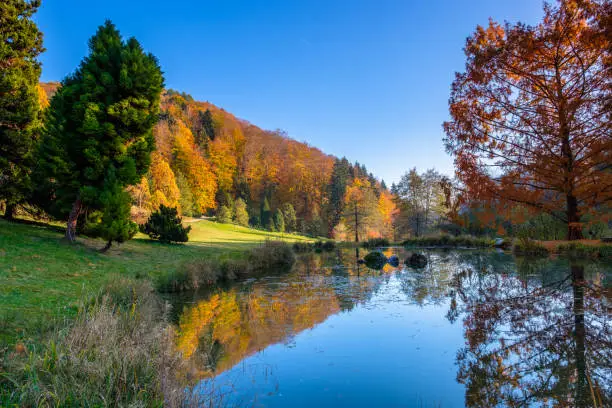 A beautiful pond in the arboretum of Aubonne, Switzerland and beautiful  autumn colors and reflections in the water.
