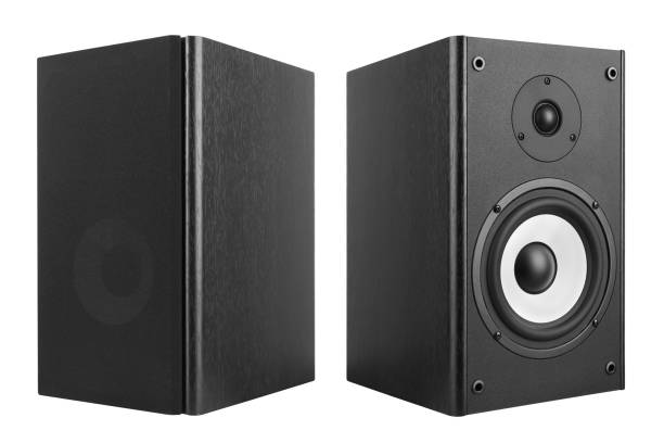 istock Wood Loud Speakers on White 1130767284
