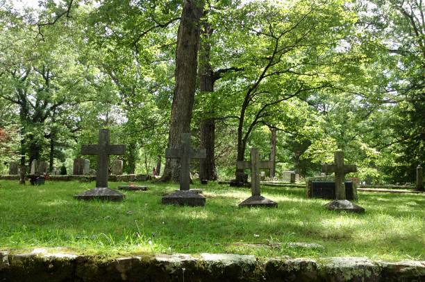 istock Tombstones in the forest 1130767856